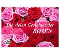 Die vielen Gesichter der Rosen (Wandkalender 2026 DIN A3 quer), CALVENDO Monatskalender: Verschwenderische Rosenpracht