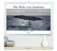 Die Wale von Andenes (hochwertiger Premium Wandkalender 2026 DIN A2 quer), Kunstdruck in Hochglanz: Andenes auf den Vesteralen in Norwegen ist der ... hier das ganze Jahr über gesichtet werden