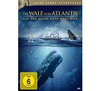 Die Wale von Atlantis - Auf der Suche nach Moby Dick [Alemania] [DVD]