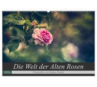 Die Welt der Alten Rosen (Wandkalender 2026 DIN A2 quer), CALVENDO Monatskalender: Malerische Fotografien von alten Rosensorten.