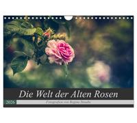 Die Welt der Alten Rosen (Wandkalender 2026 DIN A4 quer), CALVENDO Monatskalender: Malerische Fotografien von alten Rosensorten.