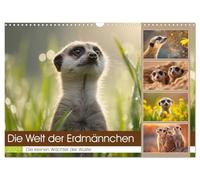 Die Welt der Erdmännchen (Wandkalender 2027 DIN A3 quer), CALVENDO Monatskalender: Dieser liebevoll gestaltete Wandkalender begleitet dich durch das ... der wohl neugierigsten Tiere der Wüste.
