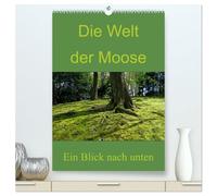 Die Welt der Moose. Ein Blick nach unten (hochwertiger Premium Wandkalender 2026 DIN A2 hoch), Kunstdruck in Hochglanz: Weitere Kunstwerke rund um das Thema Moos von Dominik Lewald
