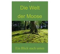 Die Welt der Moose. Ein Blick nach unten (Wandkalender 2026 DIN A2 hoch), CALVENDO Monatskalender: Weitere Kunstwerke rund um das Thema Moos von Dominik Lewald