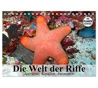 Die Welt der Riffe. Seesterne, Korallen, Anemonen (Tischkalender 2026 DIN A5 quer), CALVENDO Monatskalender: Die erstaunlichen Gärten und Blütenformen der Meere