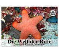 Die Welt der Riffe. Seesterne, Korallen, Anemonen (Wandkalender 2026 DIN A2 quer), CALVENDO Monatskalender: Die erstaunlichen Gärten und Blütenformen der Meere