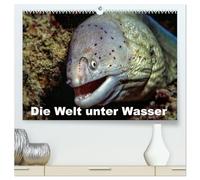 Die Welt unter Wasser (hochwertiger Premium Wandkalender 2026 DIN A2 quer), Kunstdruck in Hochglanz: Unterwasseraufnahmen von Meerestieren im Mittelmeer, Roten Meer und Indischen Ozean.