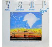 Die Wiener Symphoniker spielen aktuelle Meisterwerke der Popmusik [Vinyl LP]