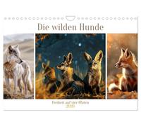 Die wilden Hunde (Wandkalender 2026 DIN A4 quer), CALVENDO Monatskalender: Mit einem Herzen so frei wie der Wind