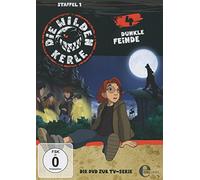 Die wilden Kerle - Staffel 1/Folge 4: Dunkle Feinde/TV-Serie [DVD]