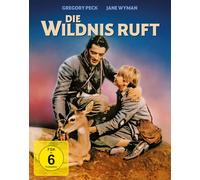 Die Wildnis ruft - Mediabook (Blu-ray+DVD) [Blu-ray]