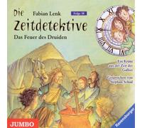 Die Zeitdetektive.das Feuer des Druiden
