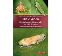 Die Zikaden Deutschlands, Österreichs und der Schweiz: Entdecken - Beobachten - Bestimmen