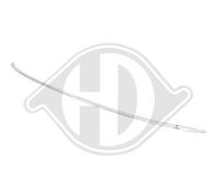 DIEDERICHS 1020167 Protector para parachoques posterior Compatible con AUDI A4 B9 Sedán 8W2, 8WC