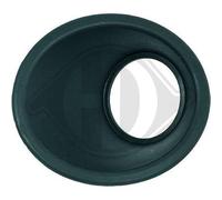 DIEDERICHS 3452862 Pantalla faro antiniebla Derecha negro