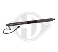 DIEDERICHS Amortiguador De Gas Para La Puerta Trasera Derecha BMW X3 G01 F97