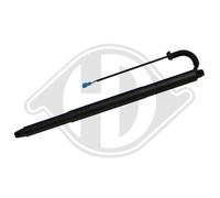 DIEDERICHS Amortiguador de Gas para Portón Trasero BMW X4 F26