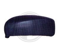 DIEDERICHS Cubierta Retrovisor Exterior Izquierda para Fiat Stilo 192 192_