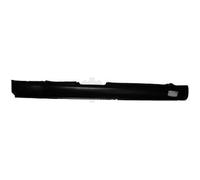 DIEDERICHS Faldón Lateral Derecho Apto para Ford Focus Familiar Dnw Daw Dbw Dfw