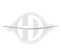 DIEDERICHS Ornamento Listón Protector Parachoques Delant. para Mercedes-Benz Cla