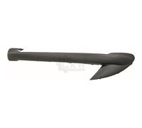DIEDERICHS Ornamento Listón Protector Parachoques Delant. para Peugeot 206+ T3E