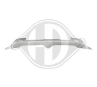 DIEDERICHS Ornamento Listón Protector Parachoques Delant. para Renault Ca J5