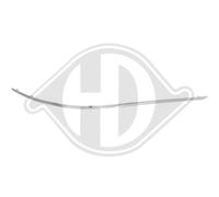 DIEDERICHS Ornamento Protector Parachoques Trasero Izquierdo para Mercedes Clase