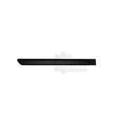 DIEDERICHS Ornamento Protector Puerta Trasera Derecha para Fiat Panda 169