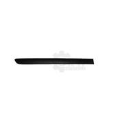 DIEDERICHS Ornamento Protector Puerta Trasera Izquierda para VW Golf V 1K1