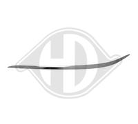 DIEDERICHS Ornamento Tira protectora del parachoques delantero izquierda para