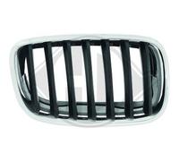 DIEDERICHS Parrilla Del Radiador Izquierda para BMW X5 E70 3.0d xDrive30d Plata