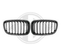 DIEDERICHS Rejilla De Radiador Compatible Para BMW 1er F20 116i 116d Carbono