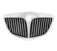 DIEDERICHS Rejilla De Radiador Compatible Para Lancia Ypsilon 843 1.2 1.4 16V