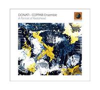 Diego Donati & Coppari E - A Portrait of Radiohead