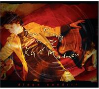 Diego Sandrin (Author) - Ten Songs In The Key Of Madness (US Import)