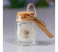 Diente de León Real en un Vaso,Regalo de Diente de León Hecho a Mano Diseño de Diente de León Cumpleaños Día San Valentín Boda Día Madre Regalos para Niños Mejor Amigo