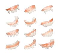 Dientes de Vampiro Falsos | Colmillos De Halloween,12 Piezas Dentaduras Postizas Realistas para Fiestas De Disfraces Halloween Cumpleaños Y Eventos