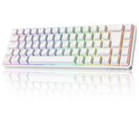Dierya DK68 Kabellose Gaming Tastatur Deutsches Layout-QWERTZ,Bluetooth/2.4GHz/USB-C 68 Tasten RGB Beleuchtung Mechanische Tastatur,Linear Roter Switch,Weiß