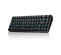 Dierya DK68 Teclado Mecánico Gaming Inalámbrico,60% Layout Compacto 68 Teclas con Triple Modo-Bluetooth/2.4G/Type-C,Blue Switch Gamer Mechanical RGB Keyboard para PC/Win/Mac,QWERTY,Negro