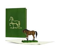 Diese Klappkarten Tarjeta cumpleaños 3D - Tarjeta cumpleaños original 15 x 20 cm con desplegable - Tarjeta felicitacion con sobre