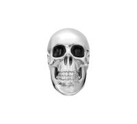 Diesel Men's Stainless Steel with post closure stud Earrings