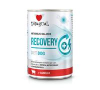 Disugual Veterinary RECOVERY Cordero comida húmeda para perros (adultos) 400g