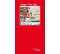 Dieter Richter Fontane in Italien (Salto): Mit zwei Stadtbeschreibun (Tapa dura)