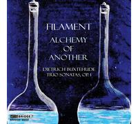 Dietrich Buxteh Filament: Alchemy of Another: Dietrich Bu (CD) (Importación USA)