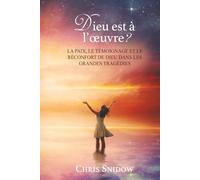 Dieu est à l'œuvre ?: LA PAIX, LE TÉMOIGNAGE ET LE RÉCONFORT DE DIEU DANS LES GRANDES TRAGÉDIES