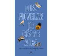 Diez Novelas De César Aira (ebook)
