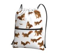 DIEzig Bonita mochila con correa ajustable con estampado de ardilla, bolsa plegable con cordón y cremallera para aventuras de fin de semana