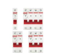 Diferencial Auto Rearmable Interruptor de aislamiento for carril DIN, 1P, 2P, 3P, 4P, 40A, 63A, 100A, 125A, uso doméstico e industrial, disyuntor CA 230V-400V(1P,125A)