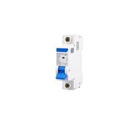 Diferencial Rearmable Disyuntor 1P AC 230/400V en miniatura C 6A 10A 16A 20A 25A 32A 40 63A 80 100 125 Protector de sobrecarga TIPO(25A)