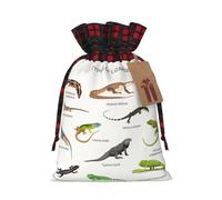 Diferentes tipos de bolsas de regalo reutilizables con estampado de lagarto con cordón - Bolsas de regalos de fiesta de Navidad para Navidad, cumpleaños